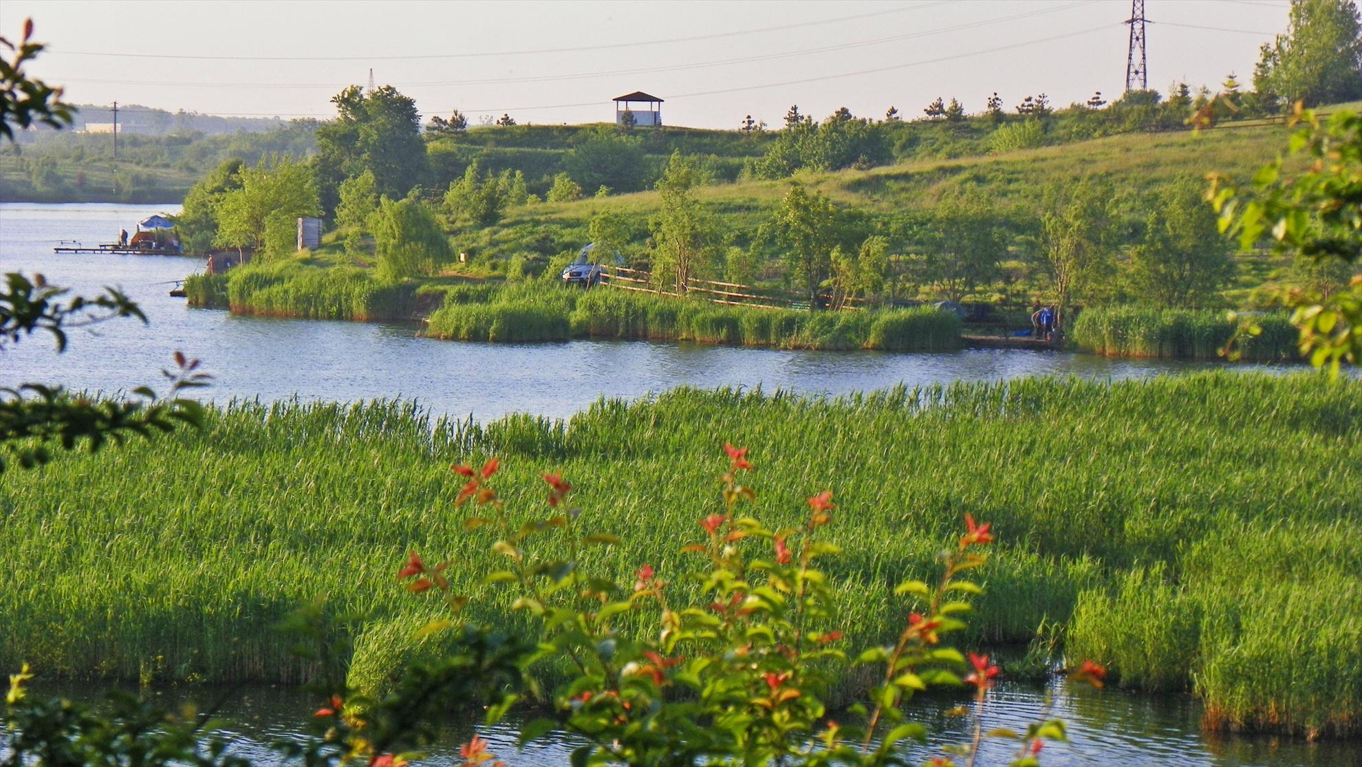 Crapmania (2) - 2011 - 1001385.JPG